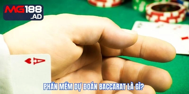 Công cụ dự đoán kết quả Baccarat chuẩn
