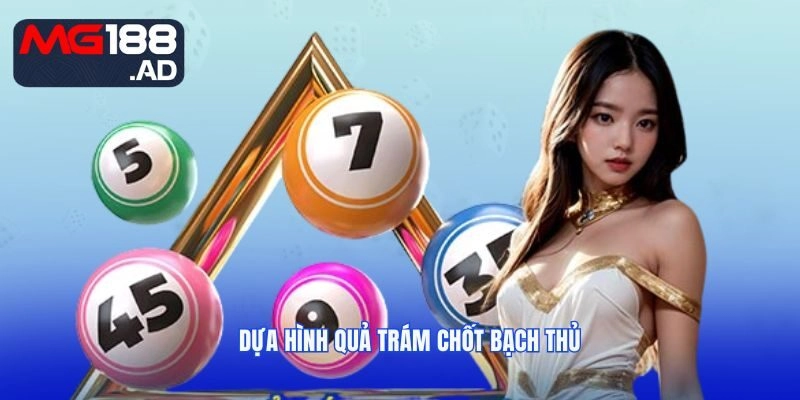 Dựa hình quả trám chốt bạch thủ