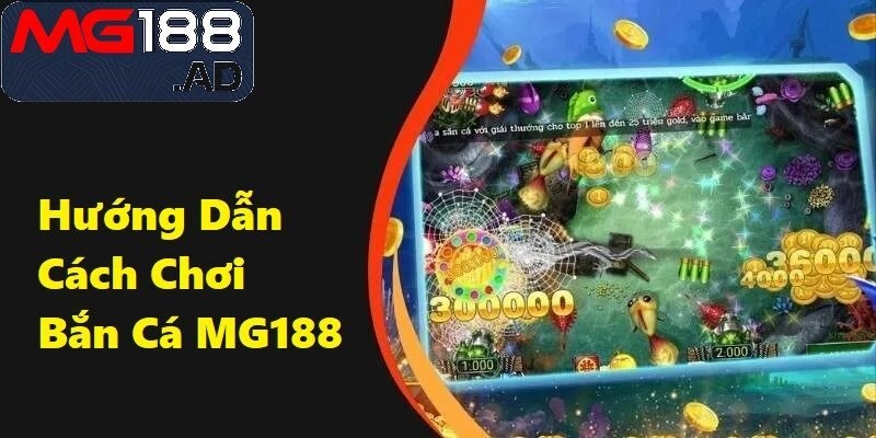 Chiến thuật tiết kiệm đạn chính là chìa khóa dẫn đến thành công