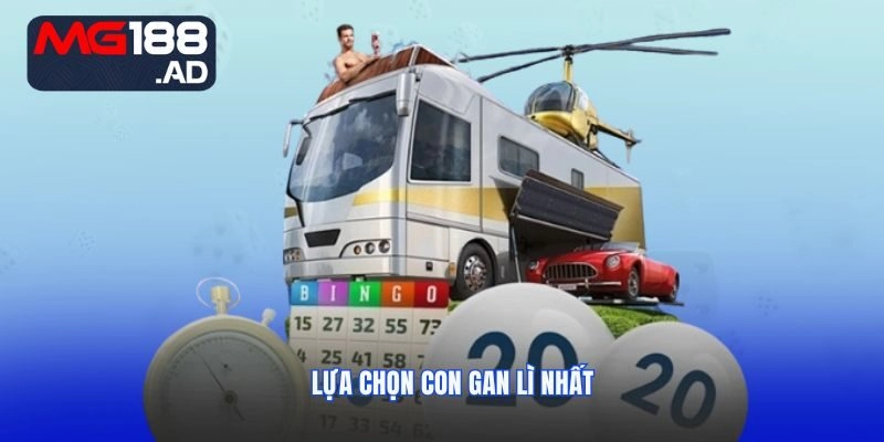 Nhận biết lô khan từ con lì đầu tư tăng hiệu quả