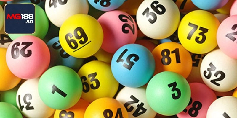 Nhà cái cung cấp đa dạng các thể loại xổ số cho người chơi tùy ý lựa chọn