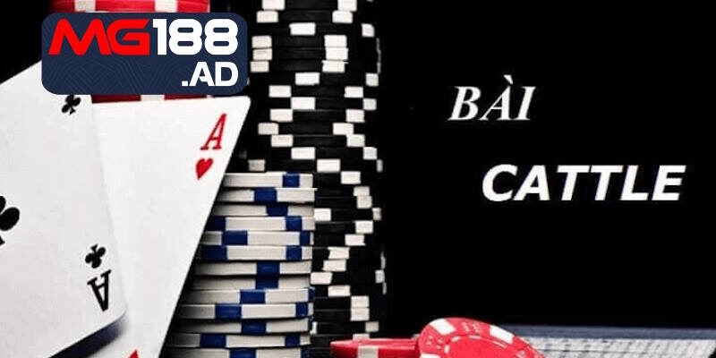 Người chơi nên tìm hiểu luật đánh bài catte để nắm chắc kiến thức