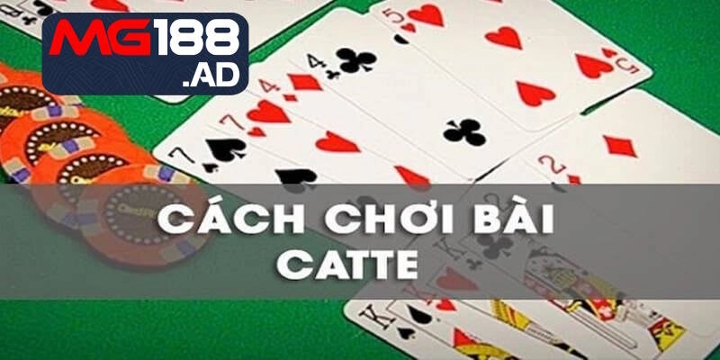 Luật đánh bài catte